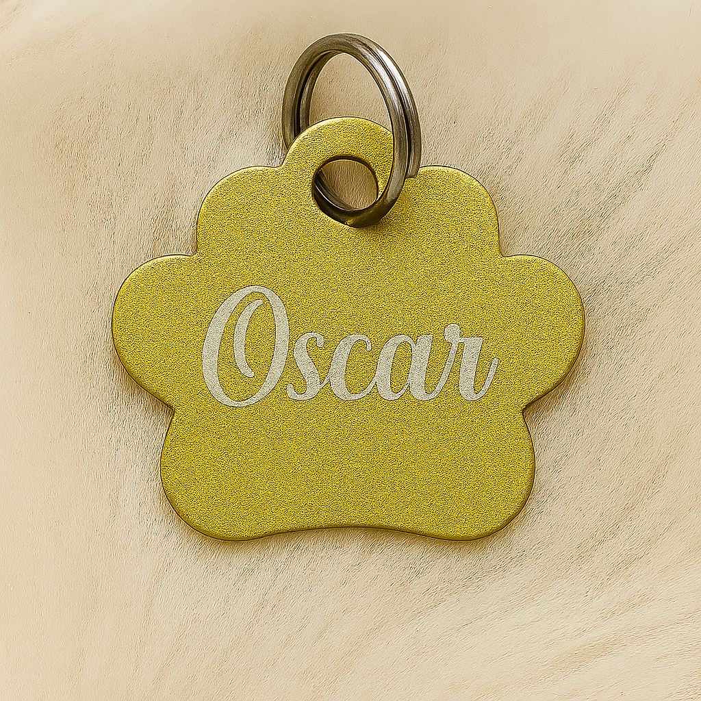 🐾 Médaille personnalisée pour animaux – Gravure laser haute qualité