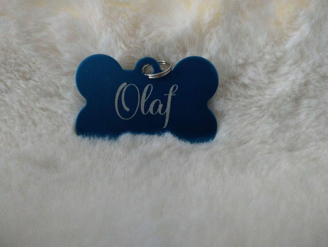 🐾 Médaille personnalisée pour animaux – Gravure laser haute qualité